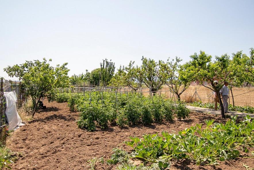 Malemi Organic Skala Kallonis